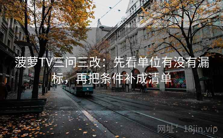 菠萝TV三问三改：先看单位有没有漏标，再把条件补成清单