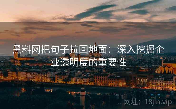 黑料网把句子拉回地面:深入挖掘企业透明度的重要性 第2张 黑料网把句子拉回地面:深入挖掘企业透明度的重要性 第2张