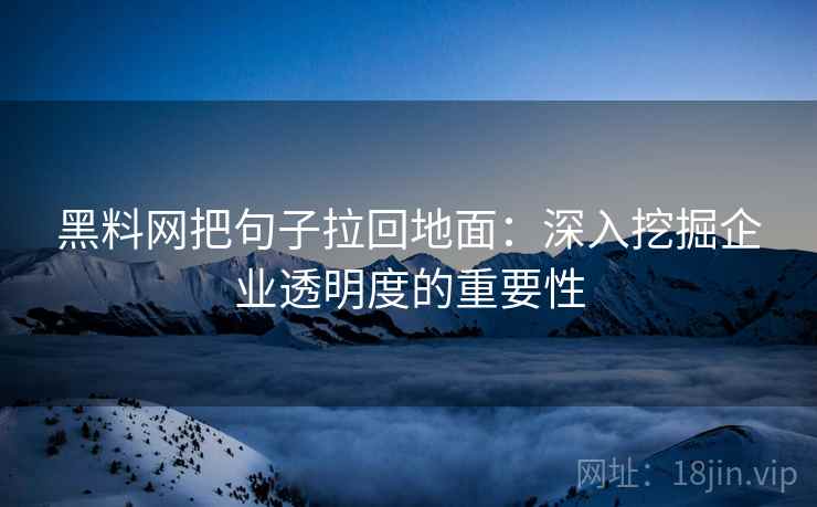 黑料网把句子拉回地面:深入挖掘企业透明度的重要性 第1张 黑料网把句子拉回地面:深入挖掘企业透明度的重要性 第1张